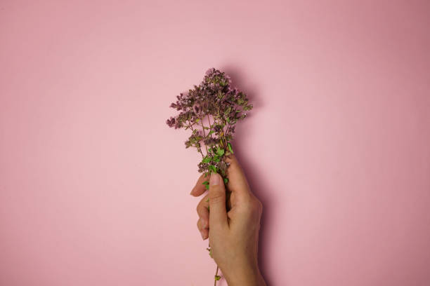 istock small bouquet in hand on pink background 1364066777
