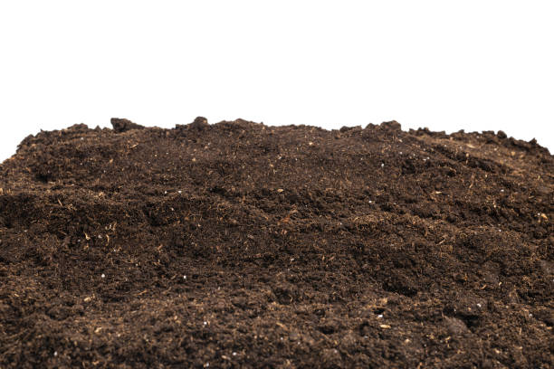 istock Soil for plant isolated on white background. 1364068519