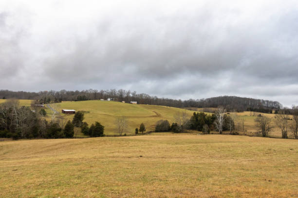istock Rural landscape with cloudy sky 1364072626