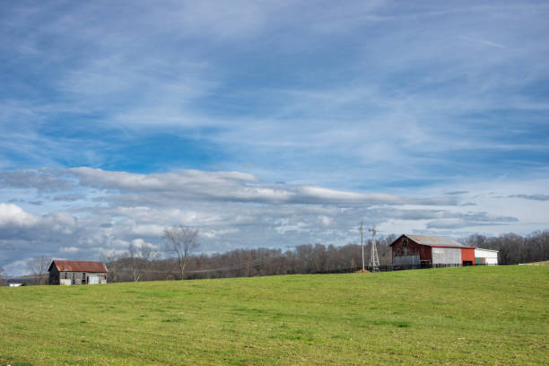 istock Barn and windmill in a farm 1364072740
