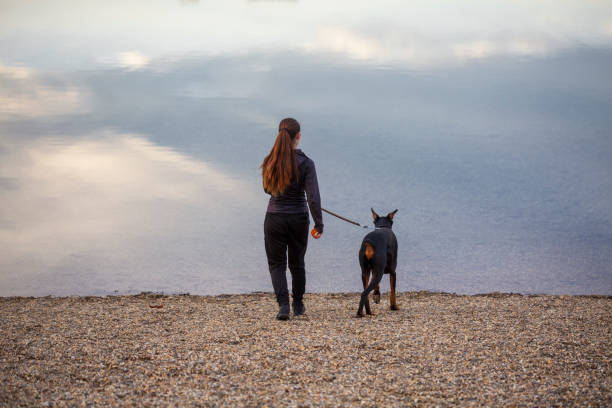istock Girl with dog 1364074282