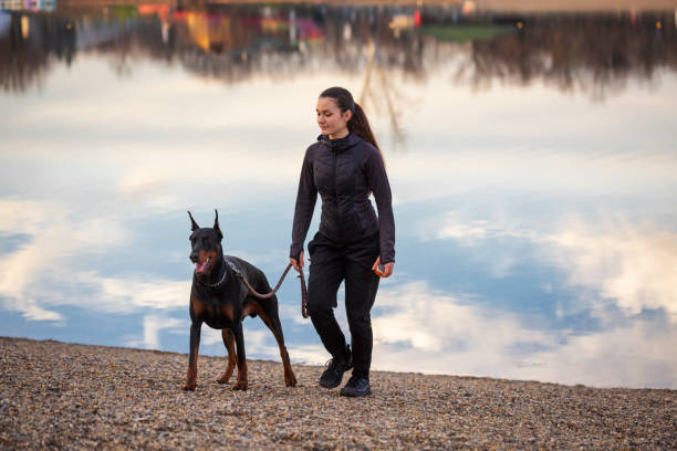 istock Girl with dog 1364074334