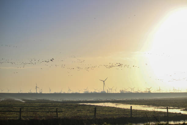 istock Hilgenriedersiel 1364076030