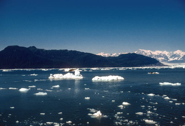 istock Alaska - Prince William Sound - Scattered Ice - 1997 1364076193