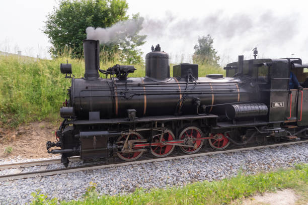 istock Steaming to the destination in Lower Austria 1364076894