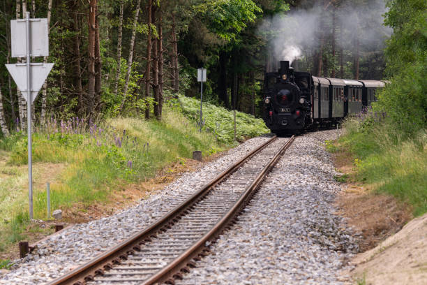istock Steaming through the woods of Lower Austria 1364076967