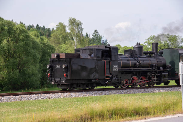 istock Steaming in reverse to the destination in Lower Austria 1364077044
