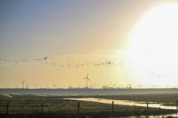istock Hilgenriedersiel 1364077591