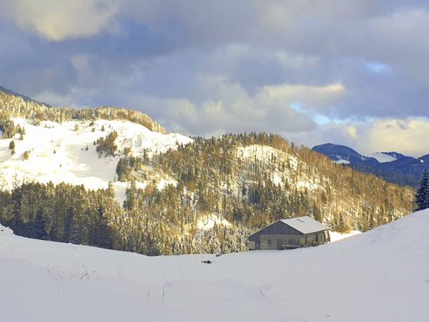 istock Lonely mountain cabin in the Alps 1364079086
