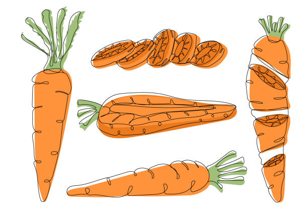 karotten-set: halb-, scheiben- und ganzkörper, strichzeichnung - carrot isolated white carotene stock-grafiken, -clipart, -cartoons und -symbole