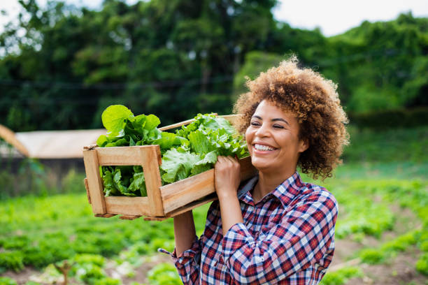 istock Woman in the vegetable field 1364083109