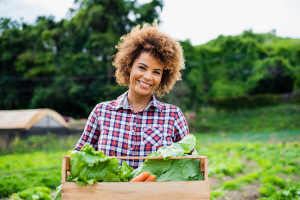 istock Woman in the vegetable field 1364083122