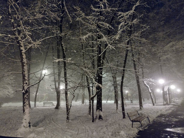 istock winter in the park - Baia Mare city 1364083866