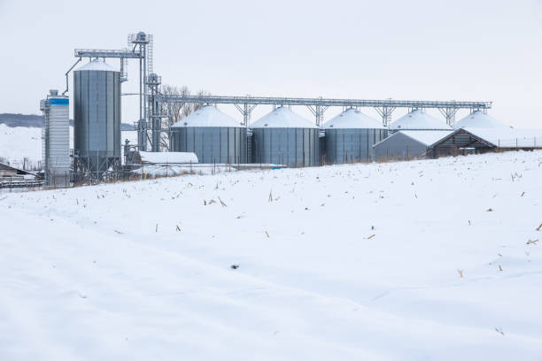 istock Silos in a cold winter day and stubble corn field covered with snow in foreground 1364086055