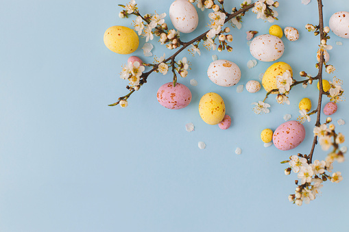 Happy Easter! Colorful Easter chocolate eggs with cherry blossoms flat lay on blue background. Stylish tender spring template with space for text. Greeting card or banner