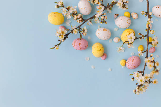 happy easter! colorful easter chocolate eggs with cherry blossoms flat lay on blue background. stylish tender spring template with space for text. greeting card or banner - 复活节 個照片及圖片檔