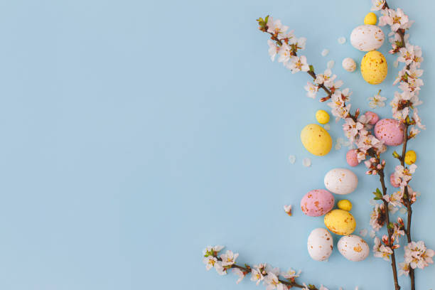 istock Colorful Easter chocolate eggs with cherry blossoms on blue background. Happy Easter! Stylish tender spring template. Easter flat lay with space for text. Greeting card or banner 1364089715