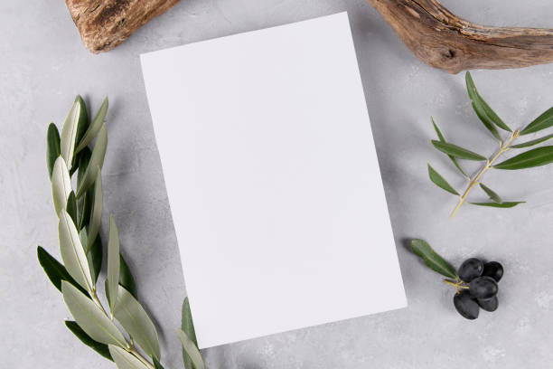 istock blank wedding invitation stationery card mockup on grey stone table background with olive branches, 5x7 1364094225