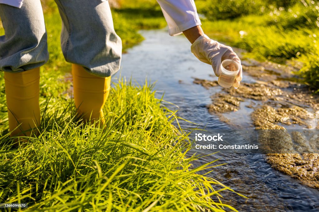 Ecologist Sampling Female Scientist Sampling With A Sample Bottle The Water From City ...