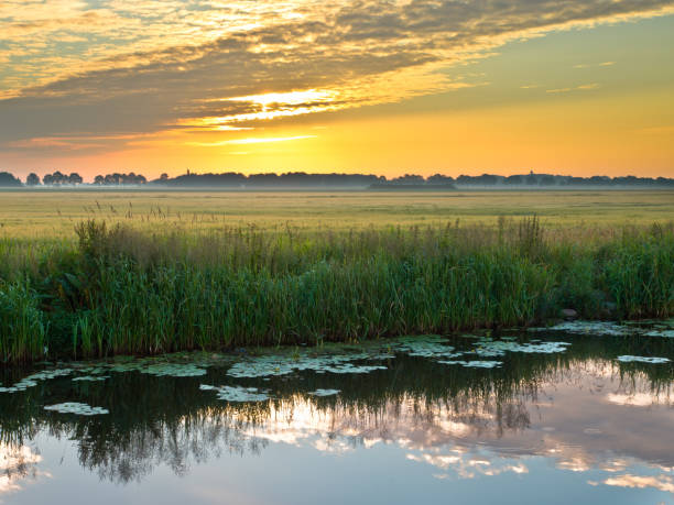 River at dusk Canal in the Morning in Rural Area in the Netherlands ditch stock pictures, royalty-free photos & images