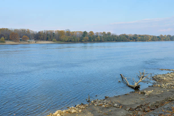 istock Danube river at Ilok in Croatia 1364095460