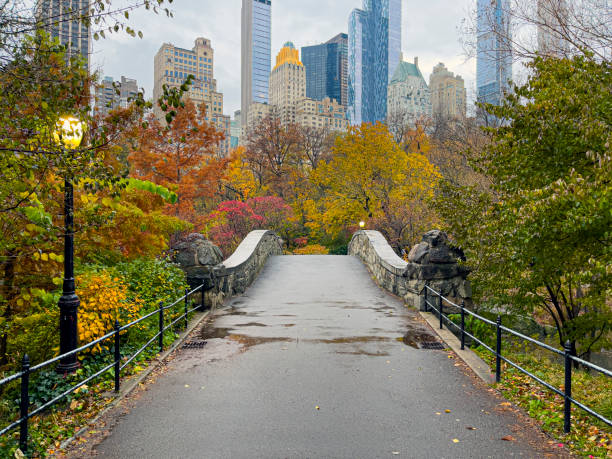 gapstow bridge in autunno a central park - autumn park central park lake foto e immagini stock