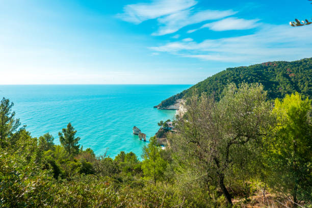istock Bari, Italy, and its beautiful coastline in winter 1364097512
