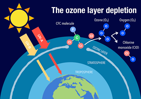 The ozone layer depletion due to reaction with CFCs explained
