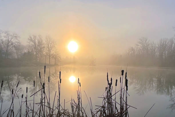 istock Foggy Lake Sunrise-Howard County, Indiana 1364104408