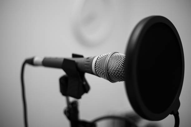 istock Professional microphone with pop filter for voice recording 1364106387