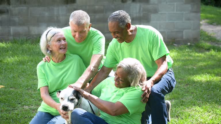 Four seniors volunteer at  pet shelter, play with dog