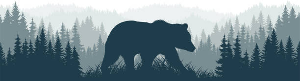 ilustraciones, imágenes clip art, dibujos animados e iconos de stock de vector montañas bosque bosque textura de fondo patrón sin costuras con oso negro - bear hunting