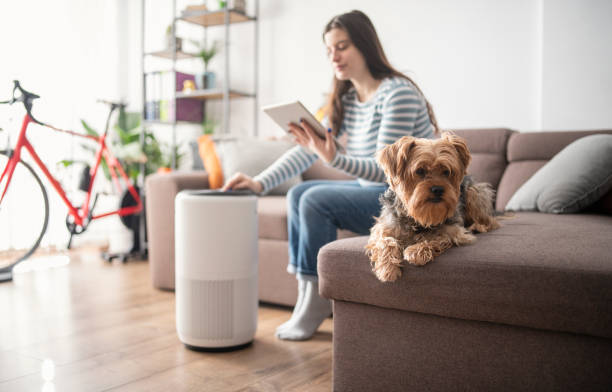 młoda kobieta regulująca domowy oczyszczacz powietrza. - remote dog control animal zdjęcia i obrazy z banku zdjęć