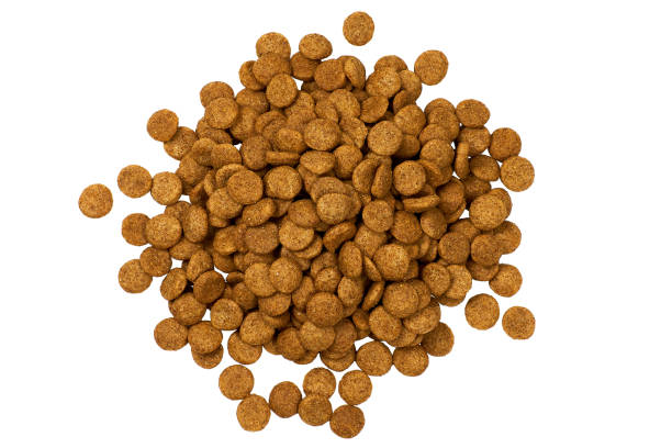 Dry dog food isolated on white background Pet kibble Top view stock photo