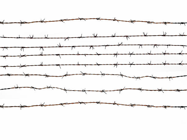 istock Ross of barbed wire on white background 136411768