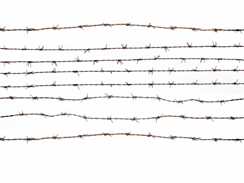 Barbed wire isolated on white