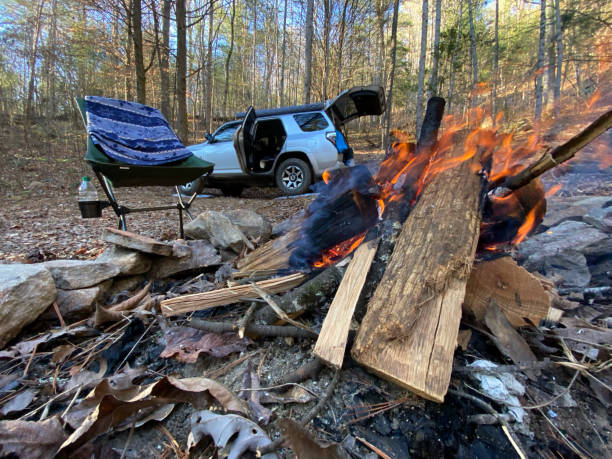 istock Campfire close up in overlanding campsite 1364119084