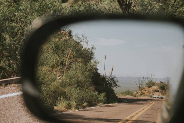 Roadtripping across the Sonoran Desert of Tucson Arizona. Looking back at the yucca on a winding mountain road up to Kitt Peak.