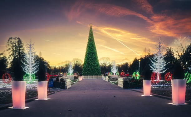 istock Windsor, Ontario - Annual Community Christmas Display 1364125017
