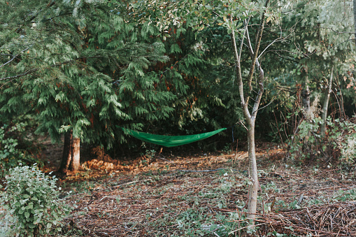 When your backyard is the forest, it is easy to hammock in nature.