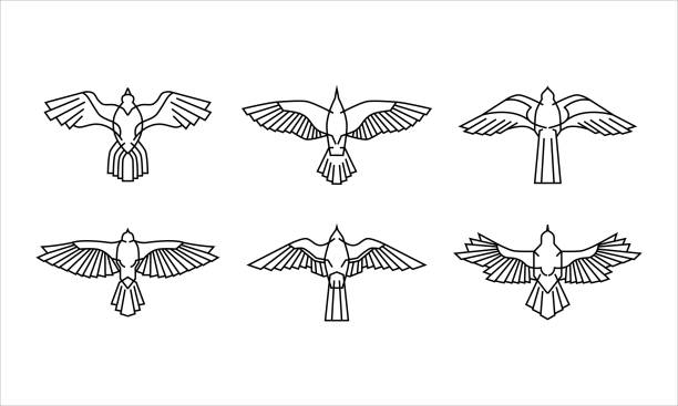 zestaw logo ikon jastrzębia. starożytny egipt ilustracja kolekcji ptaków sokołów. - rybołów stock illustrations
