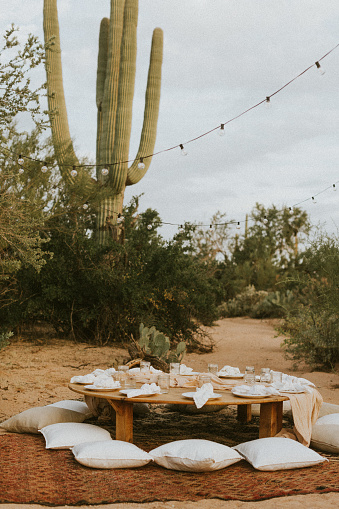 Luxury picnic outdoors with floor pillows, table settings, carpeted ground