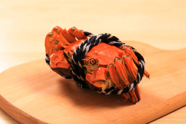 istock Hairy crab, Chinese delicacy 1364129527