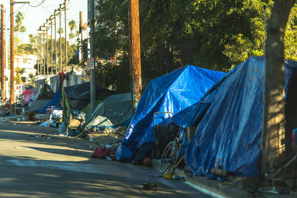 west hollywood homelessness wild tents camp - senzatetto foto e immagini stock