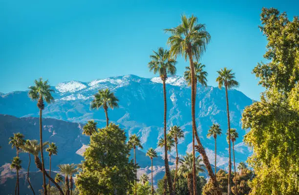 Photo of Winter in the City of Palm Springs California