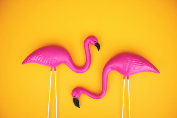 Plastic flamingo couple on a vibrant yellow background with space for copy Plastic flamingo couple on a vibrant yellow background with space for copy garden feature stock pictures, royalty-free photos & images