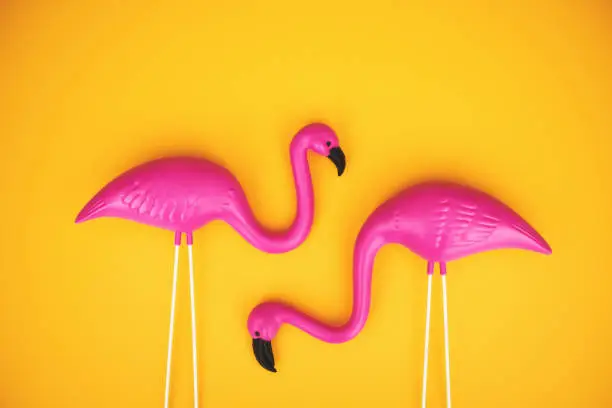 Plastic flamingo couple on a vibrant yellow background with space for copy