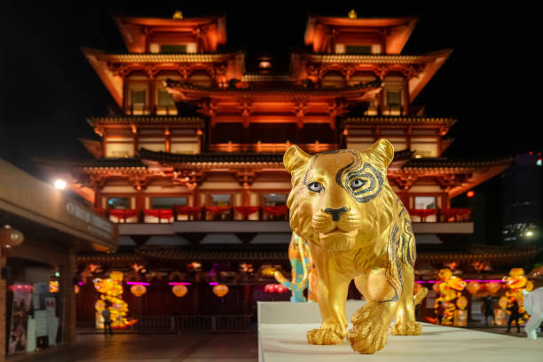 Singapore, Singapore - January 11, 2022: A gold-coloured tiger is placed before the Buddha Tooth Relic Temple in Chinatown as part of a Chinese New Year display. 2022 marks the start of the Year of the Tiger.