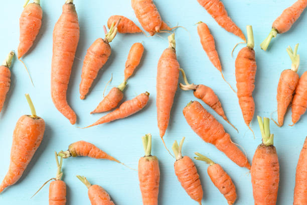 istock Organic carrots on light blue background, imperfectly shape 1364132982