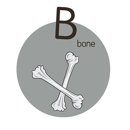 Vector illustration of children's activity coloring book pages with pictures of Bone.